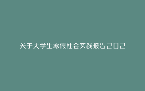 关于大学生寒假社会实践报告202