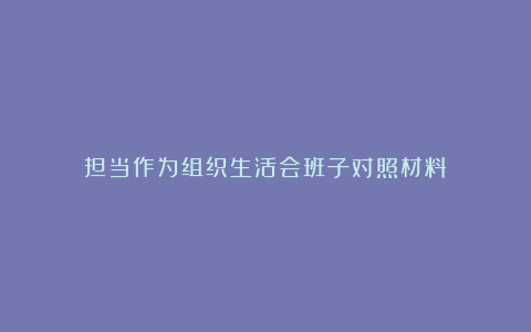 担当作为组织生活会班子对照材料