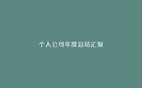 个人公司年度总结汇报