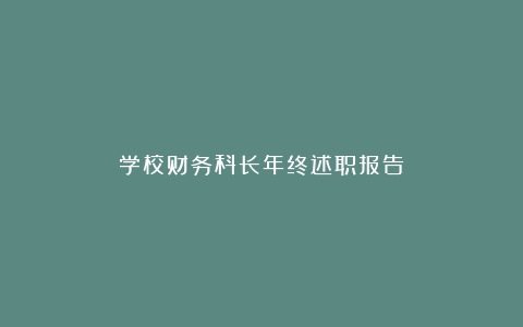 学校财务科长年终述职报告