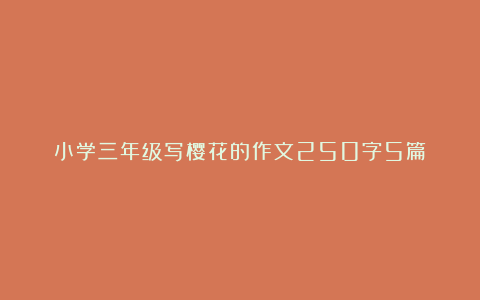 小学三年级写樱花的作文250字5篇