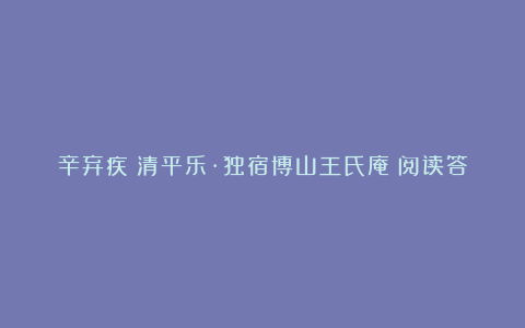 辛弃疾《清平乐·独宿博山王氏庵》阅读答案参考附翻译赏析