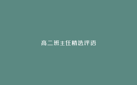 高二班主任精选评语