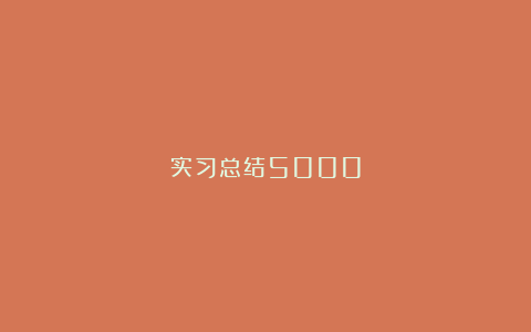 实习总结5000