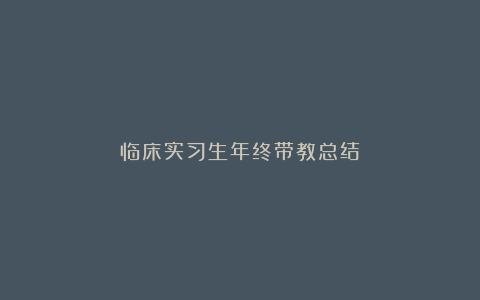 临床实习生年终带教总结