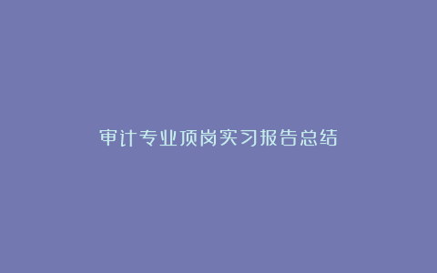 审计专业顶岗实习报告总结