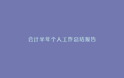 会计半年个人工作总结报告