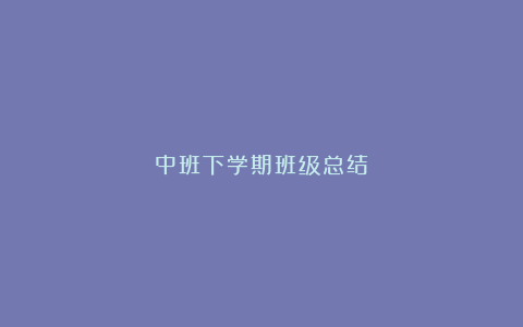 中班下学期班级总结