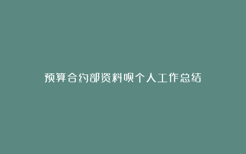 预算合约部资料员个人工作总结