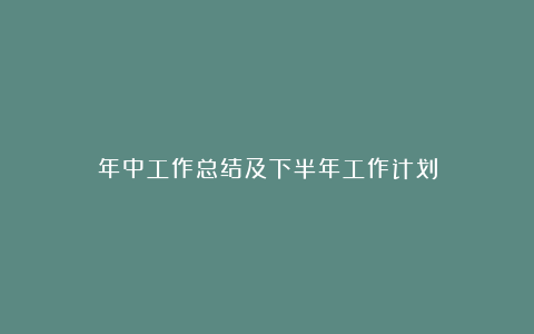 年中工作总结及下半年工作计划