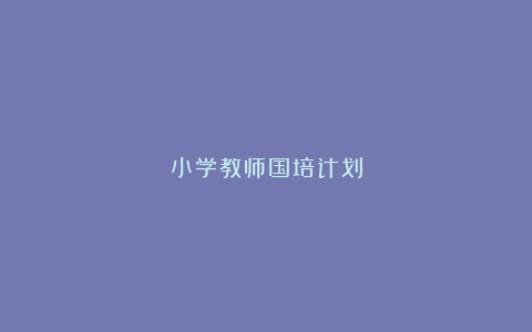 小学教师国培计划