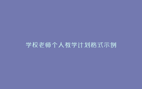 学校老师个人教学计划格式示例