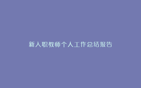 新入职教师个人工作总结报告