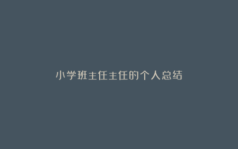 小学班主任主任的个人总结