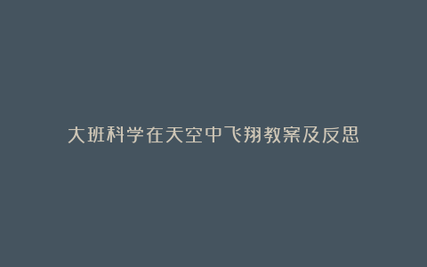 大班科学在天空中飞翔教案及反思