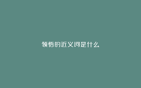 领悟的近义词是什么