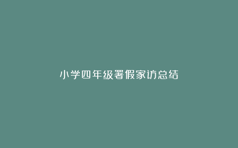 小学四年级署假家访总结