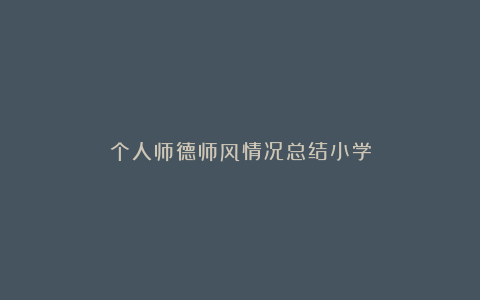 个人师德师风情况总结小学