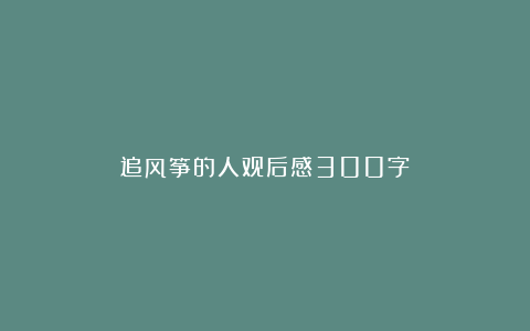 追风筝的人观后感300字