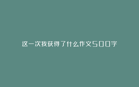 这一次我获得了什么作文500字