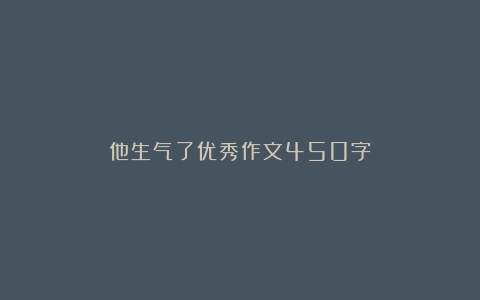 他生气了优秀作文450字