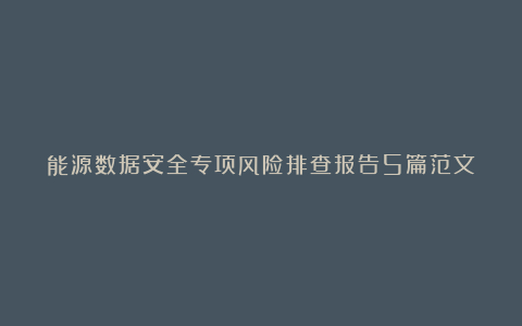 能源数据安全专项风险排查报告5篇范文