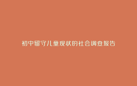 初中留守儿童现状的社会调查报告