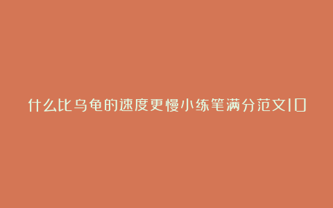 什么比乌龟的速度更慢小练笔满分范文10篇