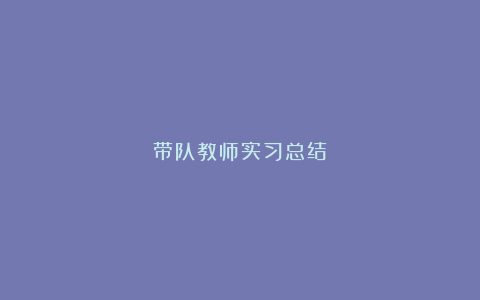 带队教师实习总结