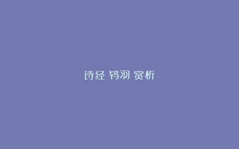 诗经《鸨羽》赏析