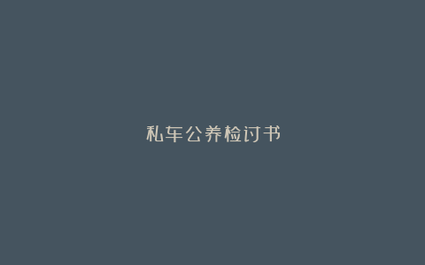 私车公养检讨书