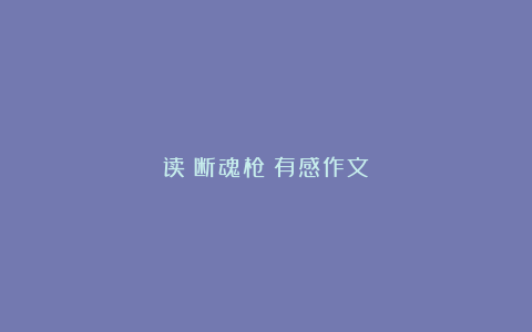 读《断魂枪》有感作文