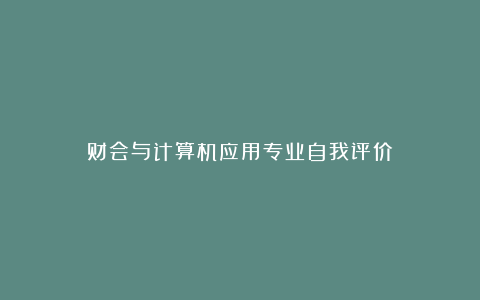 财会与计算机应用专业自我评价