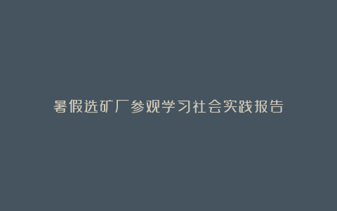 暑假选矿厂参观学习社会实践报告