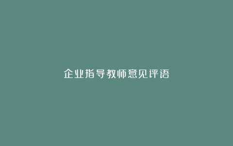 企业指导教师意见评语