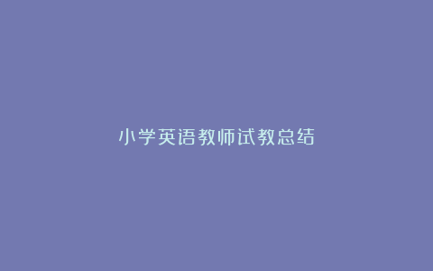 小学英语教师试教总结