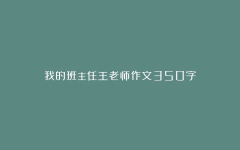 我的班主任王老师作文350字