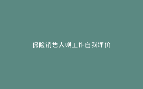 保险销售人员工作自我评价