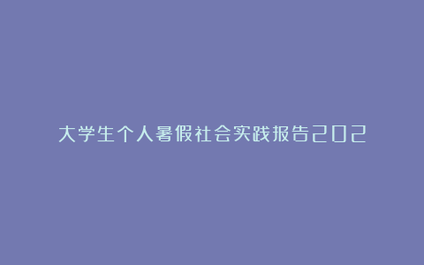 大学生个人暑假社会实践报告202