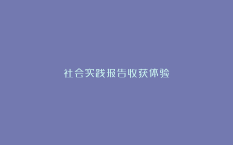 社会实践报告收获体验