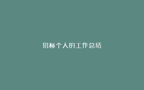 招标个人的工作总结