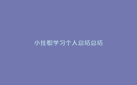 小挂职学习个人总结总结