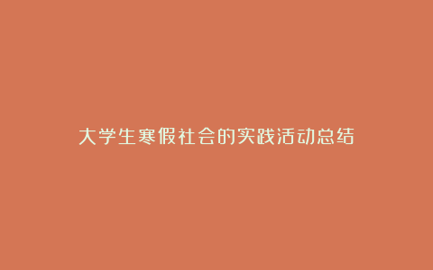 大学生寒假社会的实践活动总结