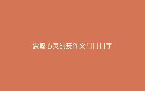 震撼心灵的爱作文900字