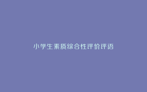 小学生素质综合性评价评语