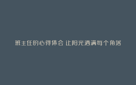 班主任的心得体会：让阳光洒满每个角落