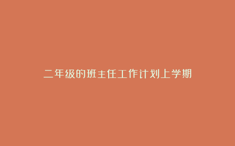 二年级的班主任工作计划上学期