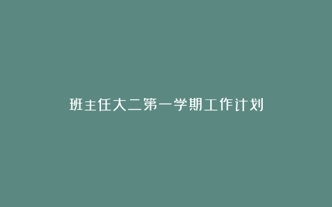 班主任大二第一学期工作计划