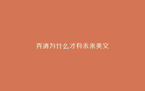 弄清为什么才有未来美文