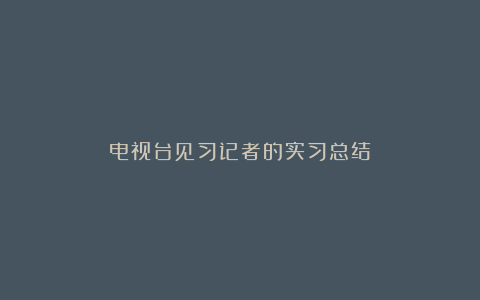 电视台见习记者的实习总结